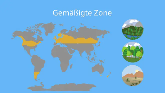 gemäßigte zone, klimazonen, klimazone, klimatypen, klima und vegetationszonen, klimazonen karte, klimazonen nach neef, was sind klimazonen, welche klimazonen gibt es, weltkarte klimazonen, eine klimazone, klima arten, klima zonen, klimazonen weltkarte, klimazonen welt, zonen der erde, die klimazonen, klimazone der erde, klimazonen merkmale, was ist eine klimazone, die gemäßigte zone, in welcher zone liegt deutschland