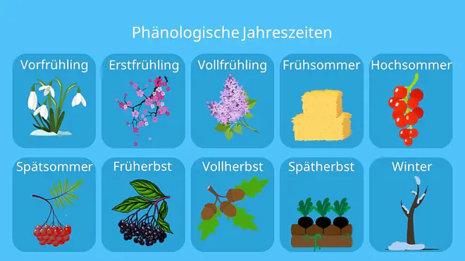 Jahreszeiten, phänologische Jahreszeiten, Jahreszeiten Abbildung, phänologische Jahreszeiten Abbildung, Naturereignisse Jahreszeiten, Vorfrühling, Erstfrühling, Vollfrühling, Frühsommer, Hochsommer, Spätsommer, Frühherbst, Vollherbst, Spätherbst, Winter