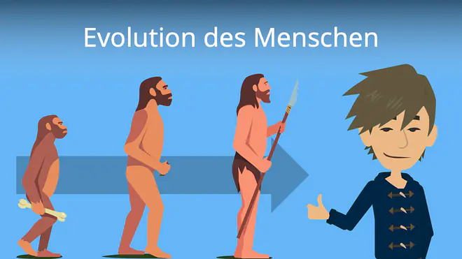 Zum Video: Evolution des Menschen