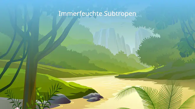 subtropische Zone, Subtropen, immerfeuchte Subtropen, subtropische Klimazone, Ostseitenklima, subtropisches Klima, Landschaft Subtropen, Landschaft immerfeuchte Subtropen, Landschaft subtropische Zone