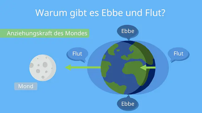 wie entsteht ebbe und flut, gezeiten entstehung, wie funktioniert ebbe und flut, was ist tide, gravitation mond, wann ist ebbe und flut, was ist Fliehkraft