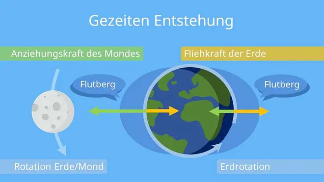 wie entsteht ebbe und flut, gezeiten entstehung, wie funktioniert ebbe und flut, was ist tide, gravitation mond, wann ist ebbe und flut, was ist Fliehkraft