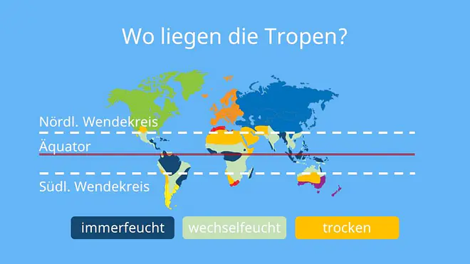 Tropen, Tropische Zone, immerfeuchte Tropen, Wechselfeuchte tropen, tropische länder, die tropen, tropische klimazone, wo liegen die tropen, was sind tropen, was sind die tropen, tropen und subtropen, tropen definition, tropenzone, tropen länder, kliamzone tropen