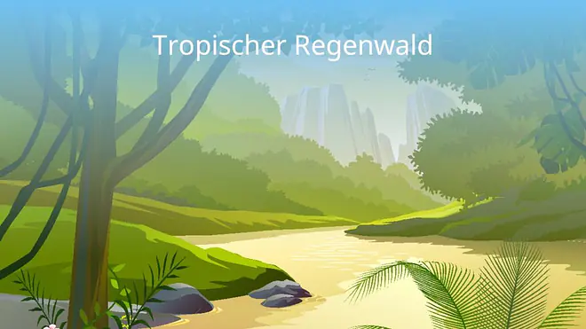 Tropen, Tropische Zone, immerfeuchte Tropen, tropische länder, die tropen, tropische klimazone, wo liegen die tropen, was sind tropen, was sind die tropen, tropen und subtropen, tropen definition, tropenzone, tropen länder, kliamzone tropen, tropischer regenwald, tropischer Tieflandregenwald,  tropischer gebirgsregenwald