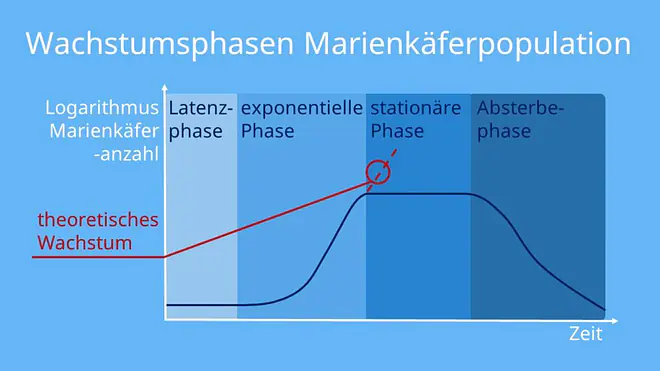 Populationsdynamik, dichteabhängige und dichteunabhängige Faktoren, dichteabhängige Faktoren Definition biologie, dichteabhängige Faktoren, Dynamik von Populationen, dichteabhängige und dichteunabhängige Faktoren