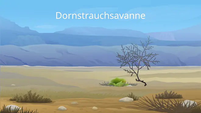 Tropen, Tropische Zone, Wechselfeuchte tropen, tropische länder, die tropen, tropische klimazone, wo liegen die tropen, was sind tropen, was sind die tropen, tropen und subtropen, tropen definition, tropenzone, tropen länder, kliamzone tropen, Savanne, Trockensavanne, Feuchtsavanne, Dornstrauchsavanne