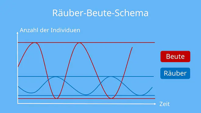 Populationsdynamik, dichteabhängige und dichteunabhängige Faktoren, dichteabhängige Faktoren Definition biologie, dichteabhängige Faktoren, Dynamik von Populationen, dichteabhängige und dichteunabhängige Faktoren