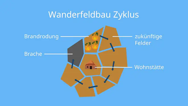 Wanderfeldbau, Brandrodungswanderfeldbau, Wechselwirtschaft