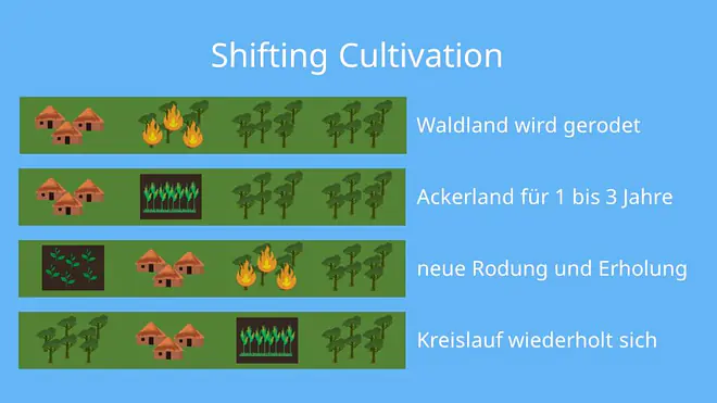 Shifting Cultivation, Shifting cultivation definition, brandrodungswanderfeldbau, was ist shifting cultivation