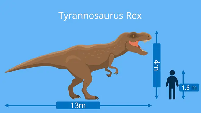 dino arten, dinosaurier namen, tyrannosaurus rex, t-rex,  dinosaurier-arten, dino namen, dinosaurierarten, arten dinosaurier, dino arten namen, fleischfresser dinosaurier, dinosaurier fleischfresser