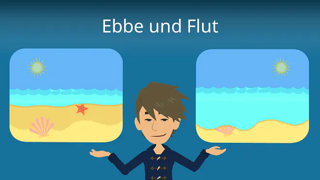 Zum Video: Ebbe und Flut