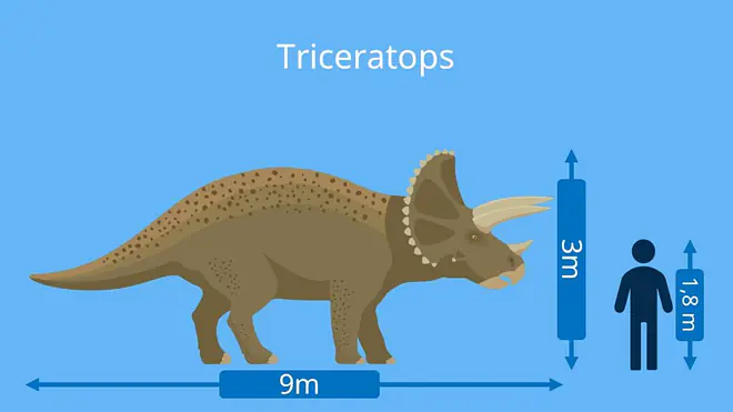 dino arten, dinosaurier namen, triceratops,  dinosaurier-arten, dino namen, dinosaurierarten, arten dinosaurier, dino arten namen, pflanzenfresser dino, pflanzenfresser dinosaurier, dino pflanzenfresser, dinos pflanzenfresser