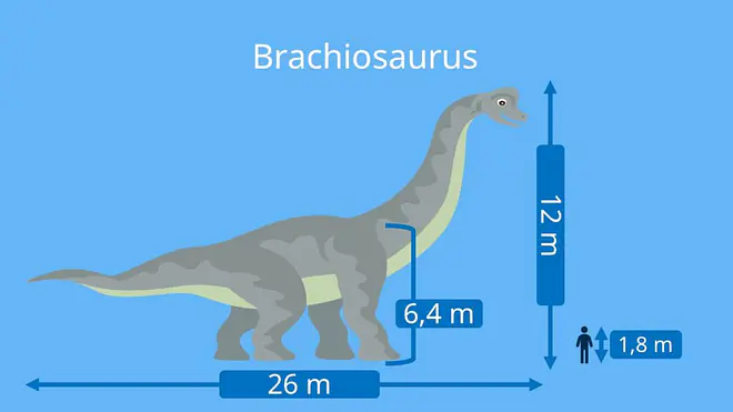 dino arten, dinosaurier namen, brachiosaurus,  dinosaurier-arten, dino namen, dinosaurierarten, arten dinosaurier, dino arten namen, pflanzenfresser dino, pflanzenfresser dinosaurier, dino pflanzenfresser, dinos pflanzenfresser