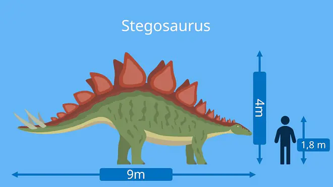 dino arten, dinosaurier namen, stegosaurus,  dinosaurier-arten, dino namen, dinosaurierarten, arten dinosaurier, dino arten namen, pflanzenfresser dino, pflanzenfresser dinosaurier, dino pflanzenfresser, dinos pflanzenfresser