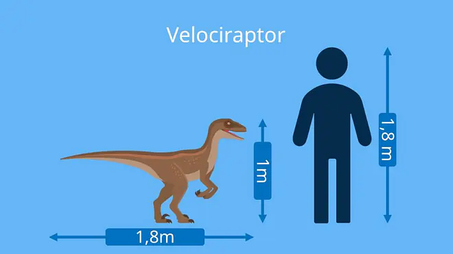 dino arten, dinosaurier namen, velociraptor,  dinosaurier-arten, dino namen, dinosaurierarten, arten dinosaurier, dino arten namen, fleischfresser dinosaurier, dinosaurier fleischfresser