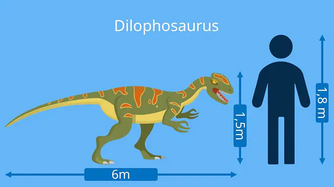 dino arten, dinosaurier namen, dilophosaurus,  dinosaurier-arten, dino namen, dinosaurierarten, arten dinosaurier, dino arten namen, fleischfresser dinosaurier, dinosaurier fleischfresser