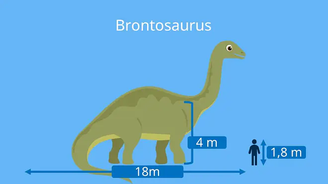 dino arten, dinosaurier namen, brontosaurus,  dinosaurier-arten, dino namen, dinosaurierarten, arten dinosaurier, dino arten namen, pflanzenfresser dino, pflanzenfresser dinosaurier, dino pflanzenfresser, dinos pflanzenfresser