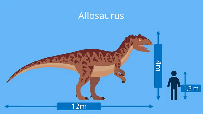 dino arten, dinosaurier namen, allosaurus,  dinosaurier-arten, dino namen, dinosaurierarten, arten dinosaurier, dino arten namen, fleischfresser dinosaurier, dinosaurier fleischfresser