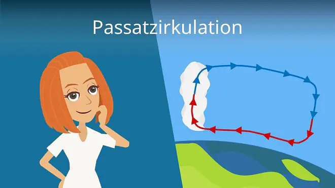 zum Video: Passatzirkulation