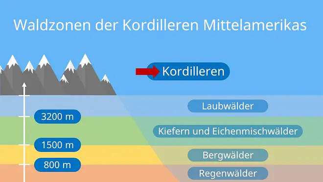 Kordilleren Mittelamerika, Kordilleren Zentralamerika, Mittelamerika Kordilleren Wald, Zentralamerika Kordilleren Wald, Mittelamerikas Kordilleren, Zentralamerikas Kordilleren, Mittelamerika, Mittelamerika länder, mittelamerika karte, Zentralamerika, Karte Mittelamerika, Länder Mittelamerika, Landkarte Mittelamerika, Zentralamerika Länder, Karte von Mittelamerika, Zentralamerika Karte