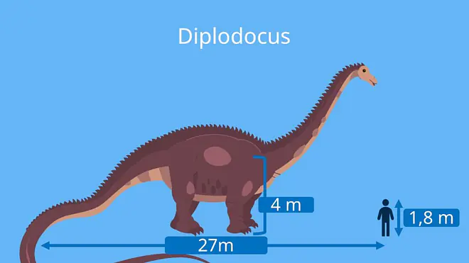 dino arten, dinosaurier namen, diplodocus,  dinosaurier-arten, dino namen, dinosaurierarten, arten dinosaurier, dino arten namen, pflanzenfresser dino, pflanzenfresser dinosaurier, dino pflanzenfresser, dinos pflanzenfresser