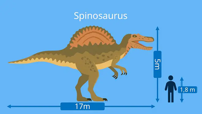 dino arten, dinosaurier namen, spinosaurus,  dinosaurier-arten, dino namen, dinosaurierarten, arten dinosaurier, dino arten namen, fleischfresser dinosaurier, dinosaurier fleischfresser