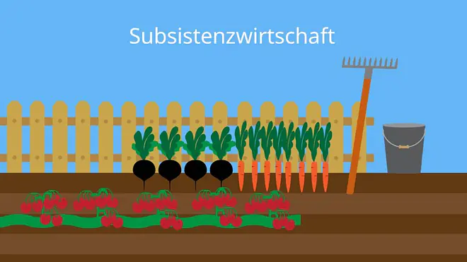 Subsistenzwirtschaft, Subsistenzwirtschaft