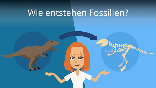 Zum Video: Wie entstehen Fossilien?