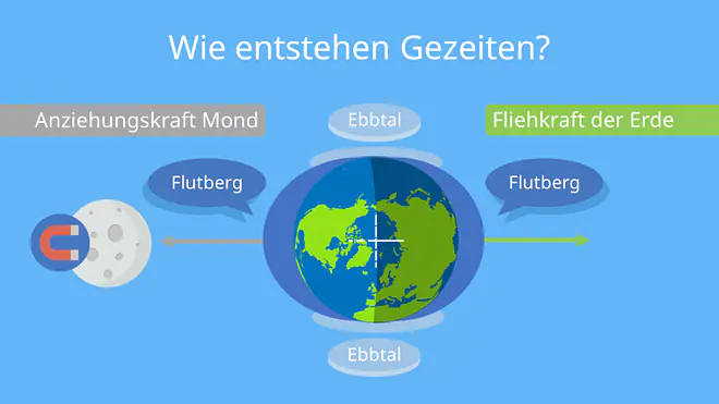 gezeiten, gezeiten erklärung, gezeiten entstehung, gezeiten bedeutung, ebbe und flut, was ist eine tide