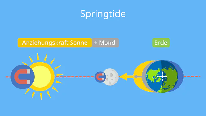 springtide, springflut, gezeiten, gezeiten sonne, springtide sonne