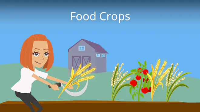Zum Video: Food Crops