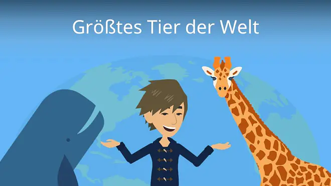 Zum Video: Größtes Tier der Welt