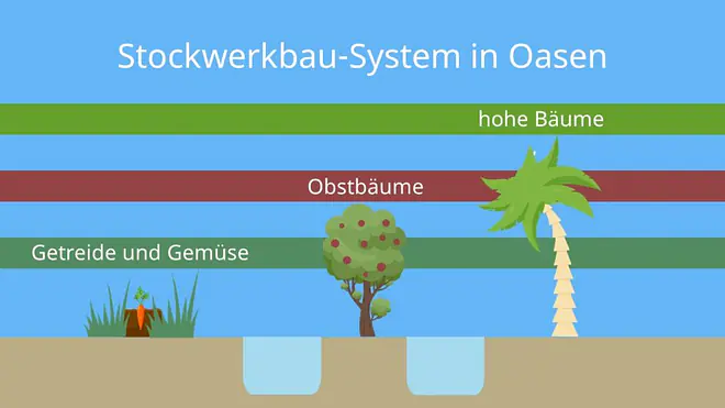 Oasentypen, oasen, was ist eine oase, grundwasseroase, flussoase, foggaraoase