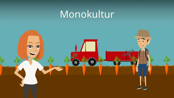 Zum Video: Monokultur
