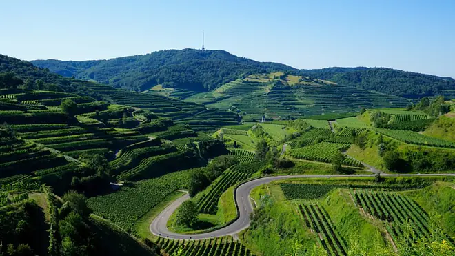 vulkane, vulkane in deutschland , vulkan deutschland , vulkan in deutschland , aktive vulkane , vulkanausbruch deutschland , vulkane deutschland karte, vulkane deutschland , vulkan in deutschland füllt sich mit magma , deutschland vulkan, vulkanausbruch eifel, aktive vulkane deutschland , gibt es in deutschland vulkane, supervulkan deutschland, wie viele vulkane gibt es in deutschland, vulkanausbruch deutschland bahnt sich an, vulkane in deutschland karte, vulkan in der eifel, vulkanismus in deutschland, aktive, vulkan deutschland, können vulkane inaktiv werden, vulkane in der eifel, vulkan aktiv, Kaiserstuhl