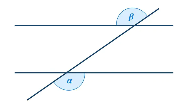 Das Bild zeigt zwei parallele Geraden, die durch eine dritte Gerade geschnitten werden. Dadurch entstehen mehrere Winkel. Der Wechselwinkel befindet sich jeweils an einem Schnittpunkt der Geraden, aber auf gegenüberliegenden Seiten.