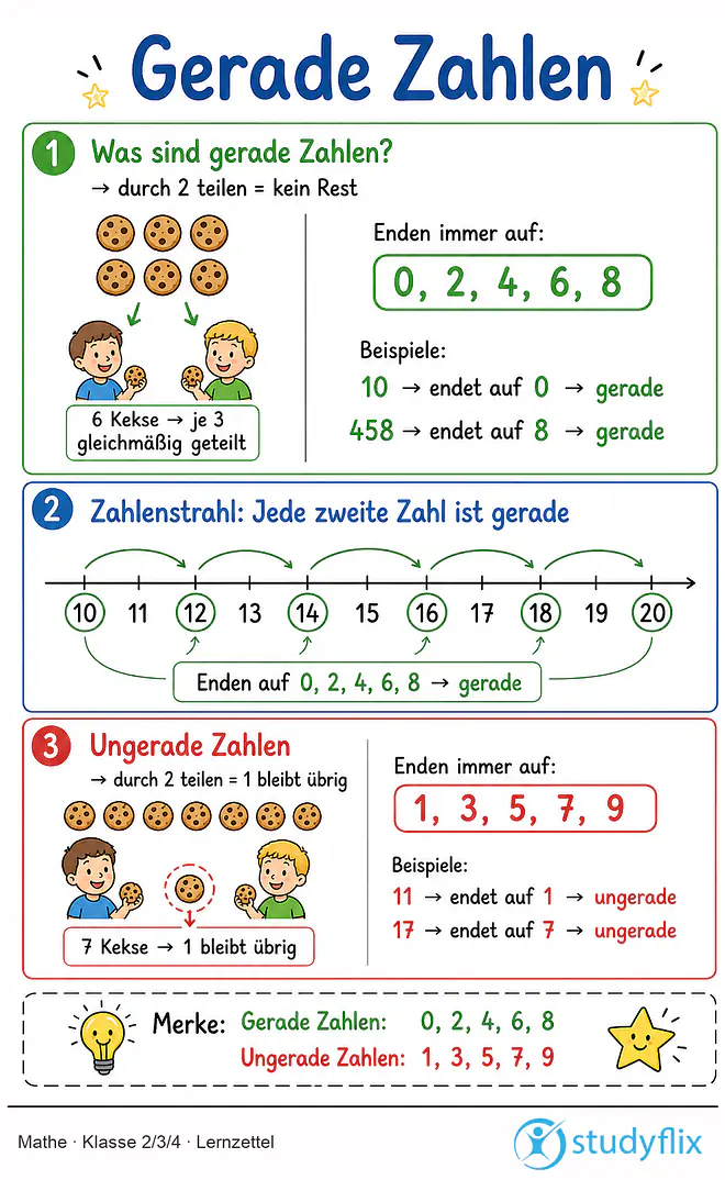 Das Bild zeigt einen Lernzettel, auf dem alles wichtige zu dem Thema Gerade Zahlen dargestellt ist. Für Schüler der Klasse 2/3/4.