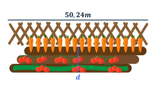 Die Grafik zeigt ein Blumenbeet mit dem Umfang von 50,24m.