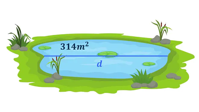 Die Grafik zeigt einen Teich mit dem Flächeninhalt von 314 m2.