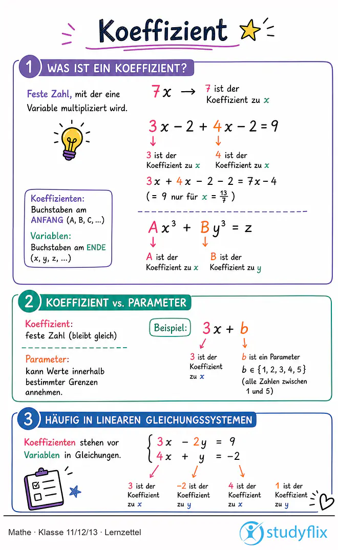 Das Bild zeigt einen Lernzettel, auf dem alles wichtige zu dem Thema Koeffizient dargestellt ist. Für Schüler der Klasse 11/12/13.