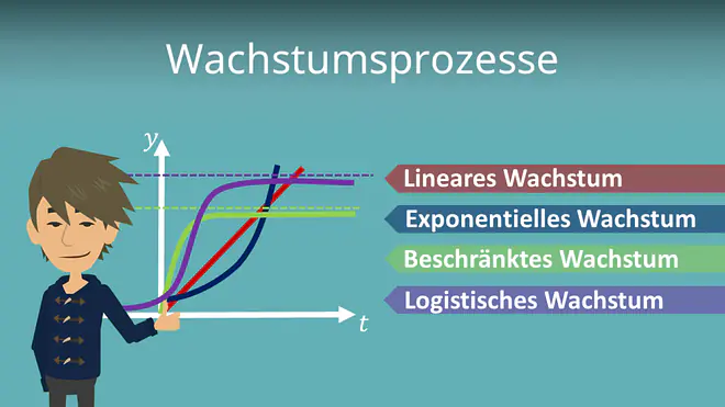Wachstumsprozesse, Wachstum, Wachstumsfunktion