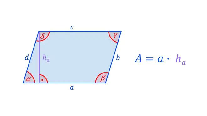 Flächenberechnung Parallelogramm Formel, Fläche berechnen