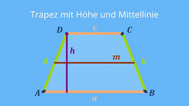 Die Abbildung zeigt ein Trapez mit eingezeichneter Höhe und Mittellinie, wobei die Höhe mit dem Buchstaben h und die Mittellinie mit dem Buchstaben m gekennzeichnet ist. 