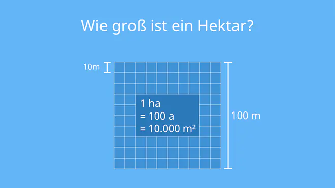 ha, hektar, hektar in m2, 1 ha in m2, wie groß ist ein hektar, 1 ha, ein hektar, 1 ha in qm, 1 hektar in m, wieviel ist ein hektar, wieviel quadratmeter hat ein hektar, wie viel ist ein hektar, hektar in km, 1 hektar in km2, umrechnung hektar, wieviel ist 1 hektar, was ist ha