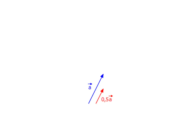 Vektor Multiplikation, Multiplikation von Vektoren, Vektoren multiplizieren, Vektormultiplikation, gestauchter Vektor