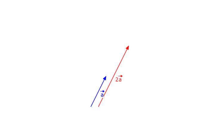 Vektor Multiplikation, Multiplikation von Vektoren, Vektoren multiplizieren, Vektormultiplikation, gestreckter Vektor