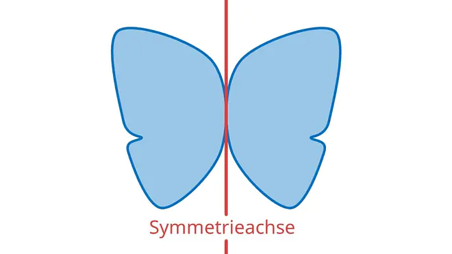 Symmetrieachse, Was ist eine Symmetrieachse, Symmetrieachsen, Was sind Symmetrieachsen, Symmetrieachse einzeichnen, Symmetrieachsen rechteck, wie viele Symmetrieachsen hat ein Quadrat, Symetrieachse, Symmetrieachse Grundschule, Was ist eine Spiegelachse, Symmetrieachsen Quadrat, Symetrieachsen, Was ist die Symmetrieachse, Symmetrieachse Schmetterling, Spiegelachse Schmetterling