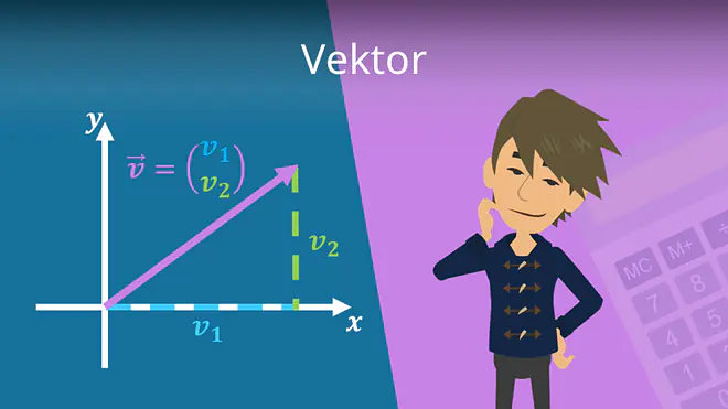 Zum Video: Vektor
