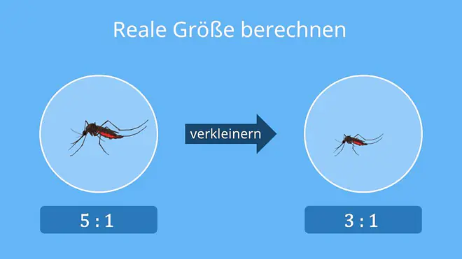 maßstab aufgaben, maßstab berechnen 5. Klasse, maßstab berechnen übungen, maßstab berechnen aufgaben, maßstab übungen, maßstab aufgaben mit lösungen 5. klasse