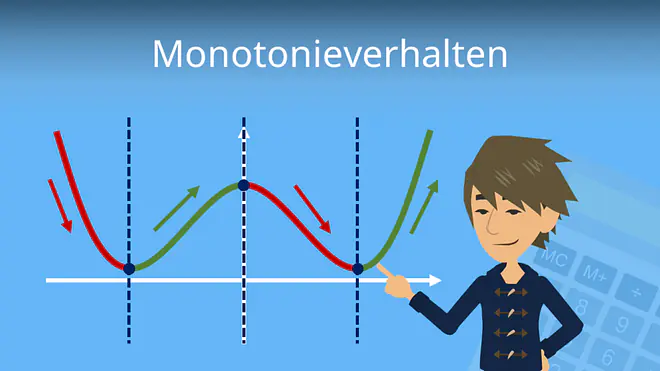 Zum Video: Monotonieverhalten